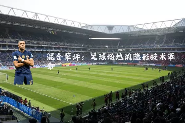 混合草坪:足球场地的隐形技术革命