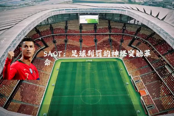 SAOT:足球判罚的神经突触革命