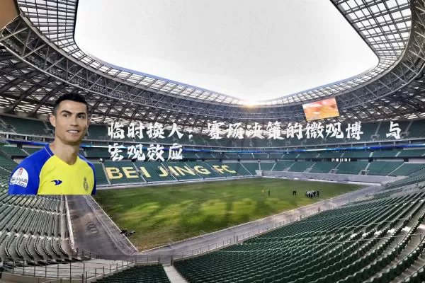 临时换人:赛场决策的微观博弈与宏观效应